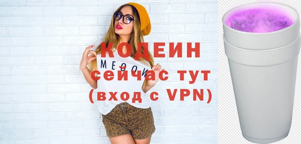 молекула духа Коряжма