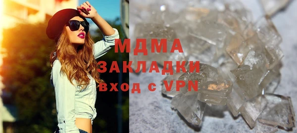 крисы Корсаков