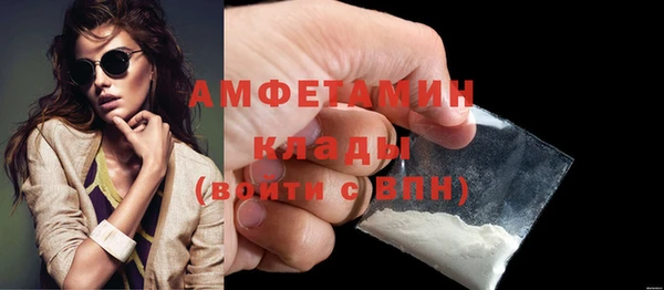 крисы Корсаков