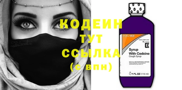 молекула духа Коряжма