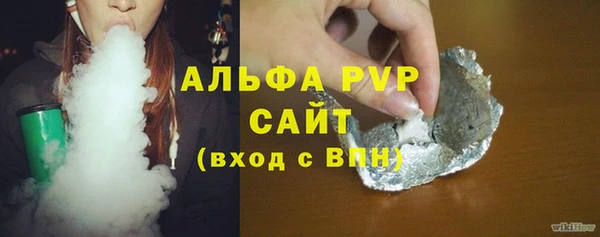 крисы Корсаков