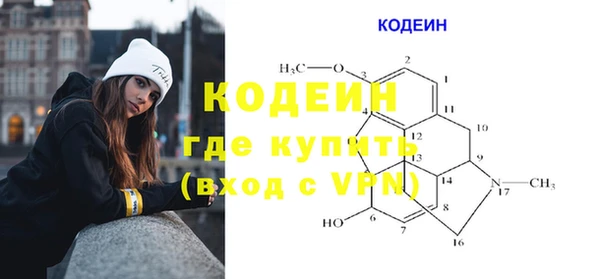 крисы Корсаков