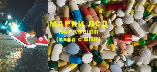 крисы Корсаков