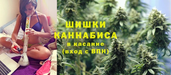 молекула духа Коряжма