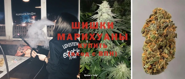 молекула духа Коряжма