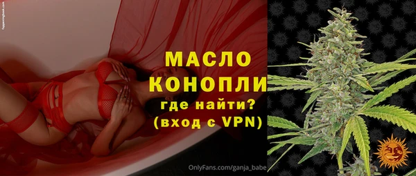 крисы Корсаков
