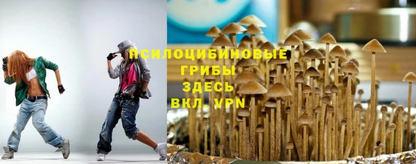 молекула духа Коряжма