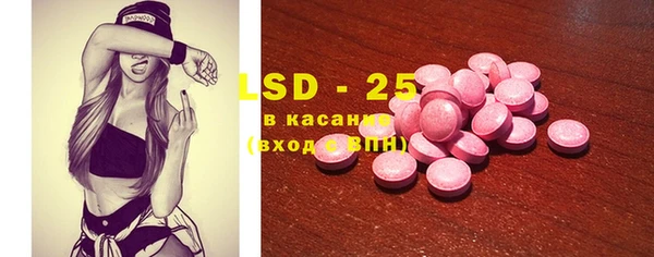 крисы Корсаков