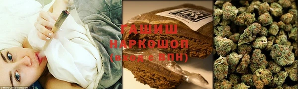 крисы Корсаков