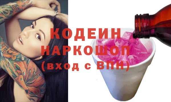 молекула духа Коряжма