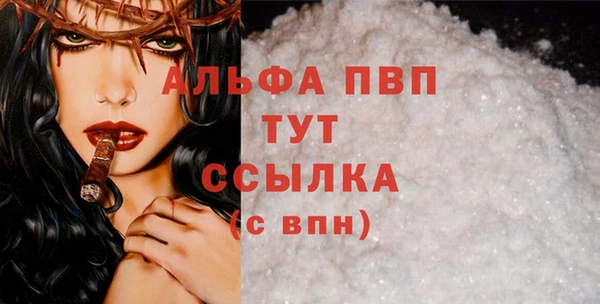 молекула духа Коряжма