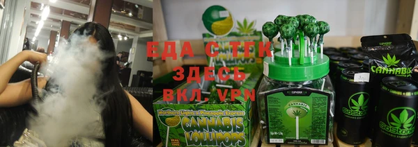 крисы Корсаков
