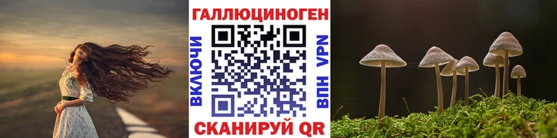 Галлюциногенные грибы MAGIC MUSHROOMS  Купить закладки  Добрянка 
